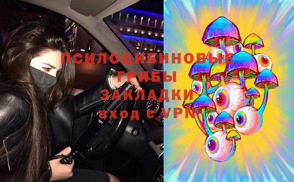 индика Бронницы